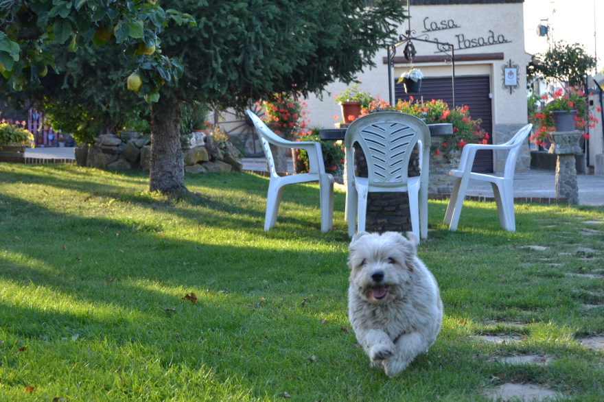 Casa rural La Posada